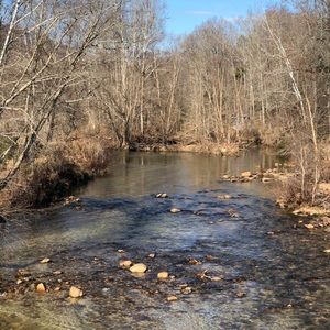 Meet your Posher, Lina